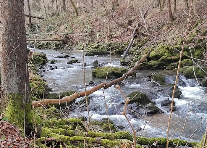 Auf Ehemaligem Muehlengrund *